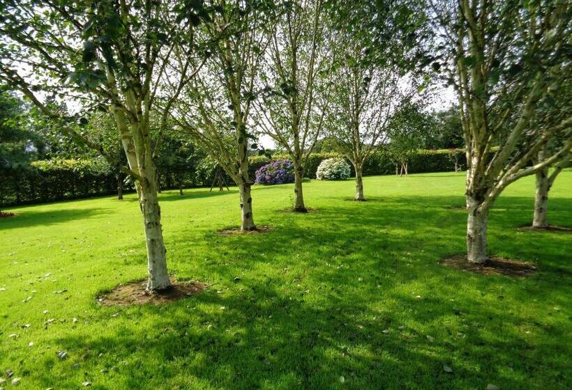 ベッドアンドブレックファースト Redwood