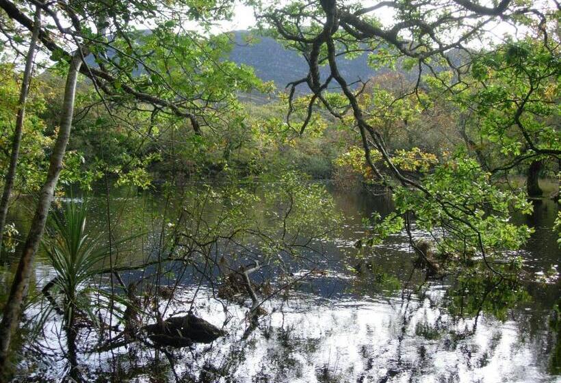 ベッドアンドブレックファースト Redwood