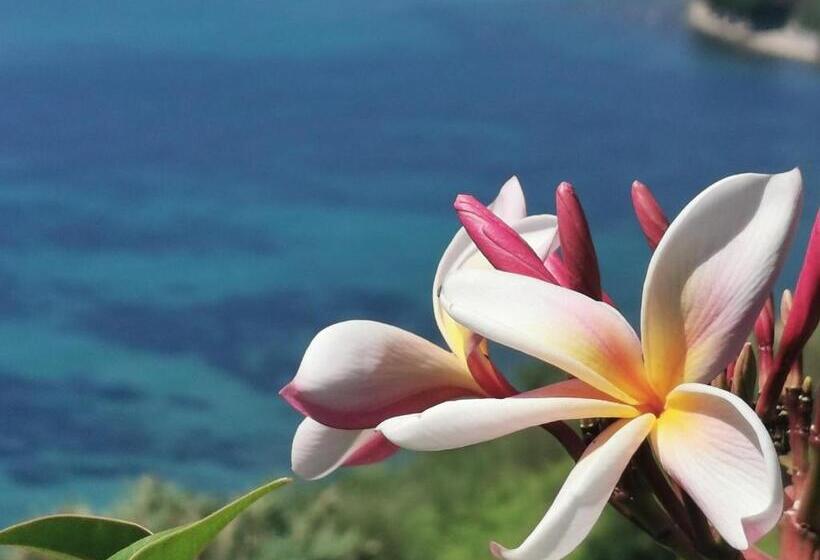 مبيت وإفطار Romantic Casa Lorenzina Affittacamere