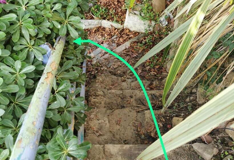 مبيت وإفطار Romantic Casa Lorenzina Affittacamere