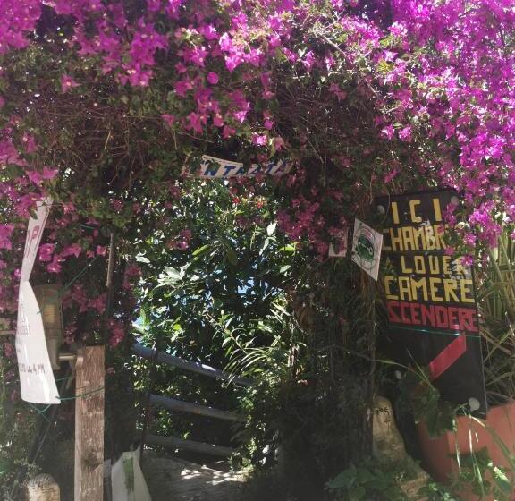 مبيت وإفطار Romantic Casa Lorenzina Affittacamere