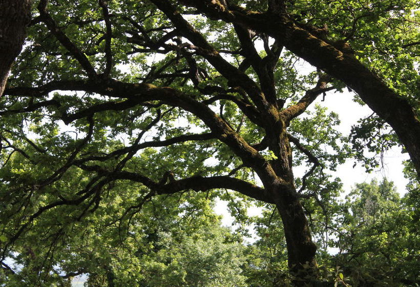 צימר Villa Selva Country House