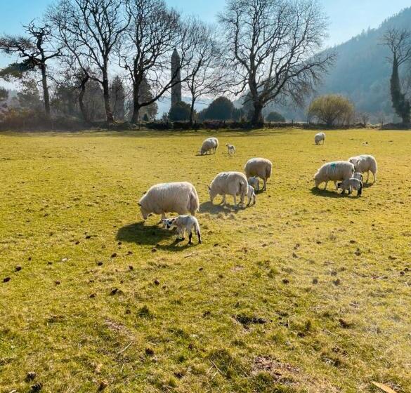 Glendalough International Youth Hostel