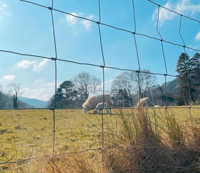 Glendalough International Youth Hostel