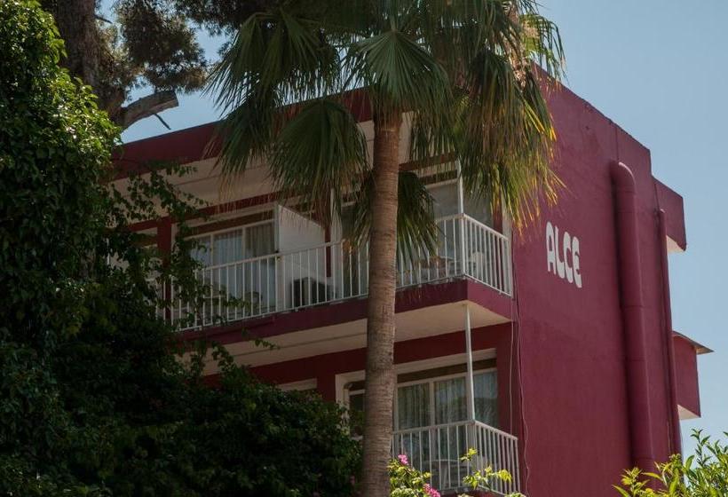 Hostal Alce