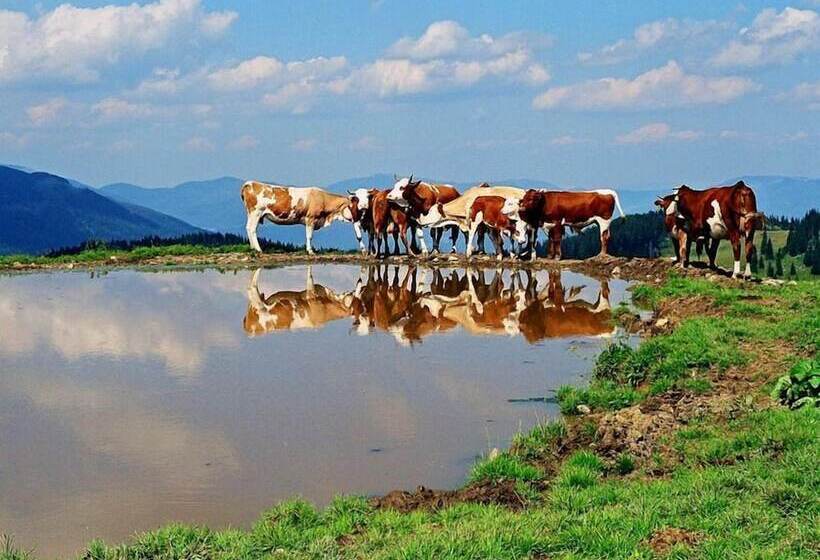 مسافرخانه B&b Pod Skalo