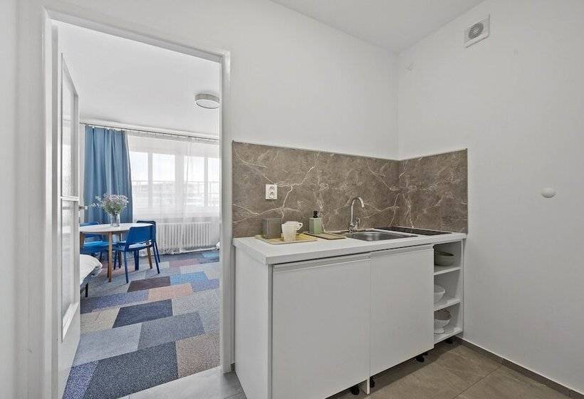 مسافرخانه Pension Petit