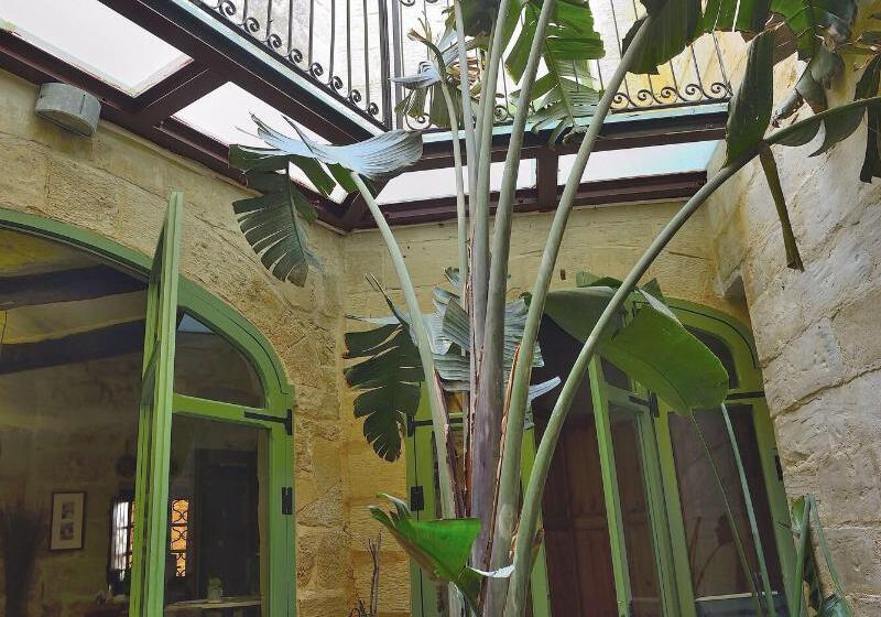 مسافرخانه The Burrow Guest House