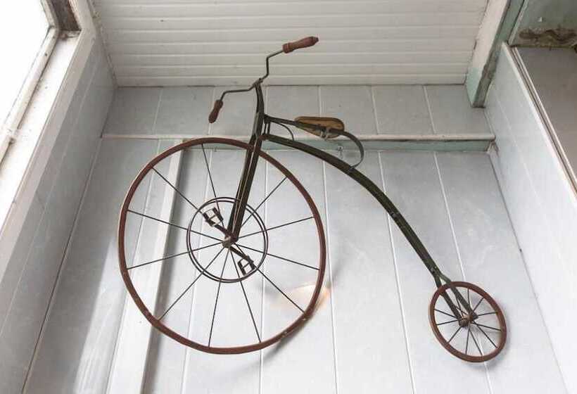 호텔 Backpackers Citi Hostel