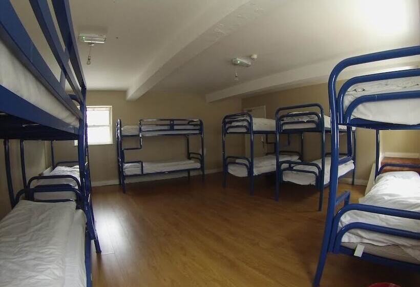 호텔 Backpackers Citi Hostel