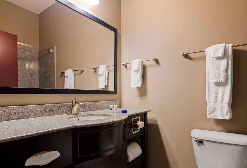 فندق Best Western Abbeville Inn And Suites