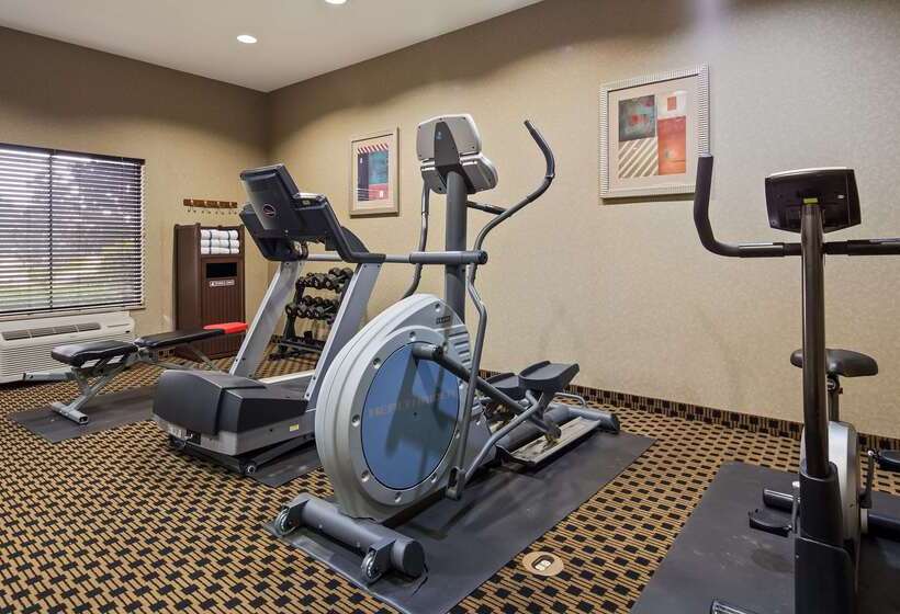 酒店 Best Western Plus Goodman Inn & Suites