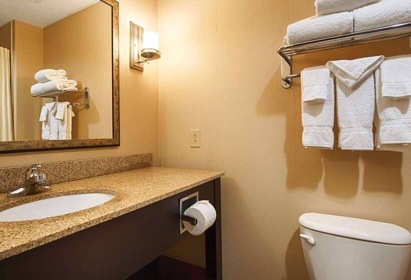 酒店 Best Western Plus Goodman Inn & Suites