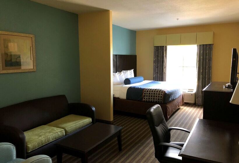 酒店 Best Western Plus Goodman Inn & Suites