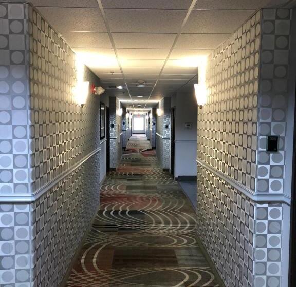 酒店 Best Western Plus Goodman Inn & Suites