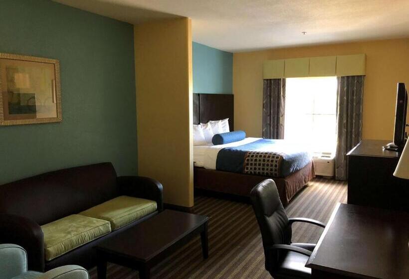 酒店 Best Western Plus Goodman Inn & Suites