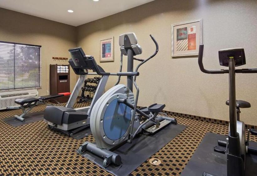 酒店 Best Western Plus Goodman Inn & Suites