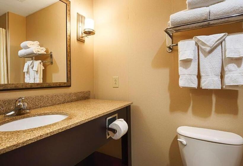 酒店 Best Western Plus Goodman Inn & Suites