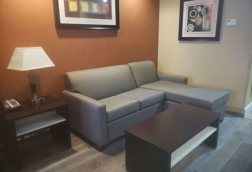 هتل Best Western Plus Jfk Inn & Suites