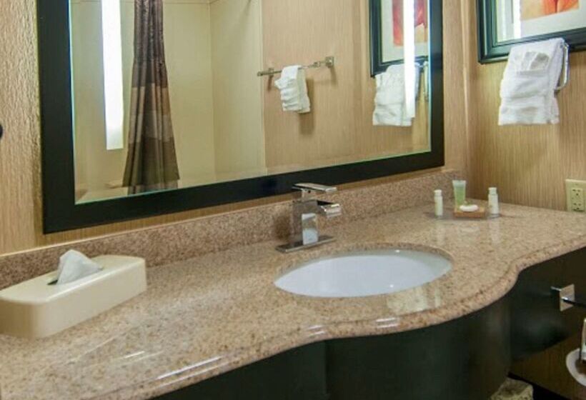 هتل Best Western Plus Jfk Inn & Suites