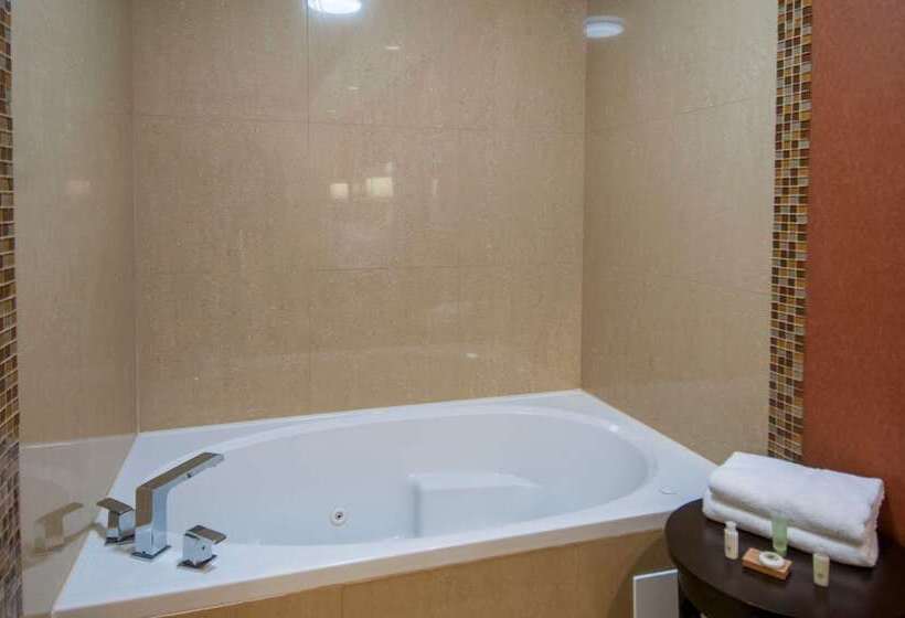 هتل Best Western Plus Jfk Inn & Suites