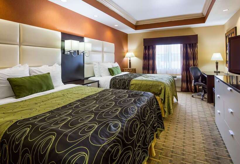 هتل Best Western Plus Jfk Inn & Suites