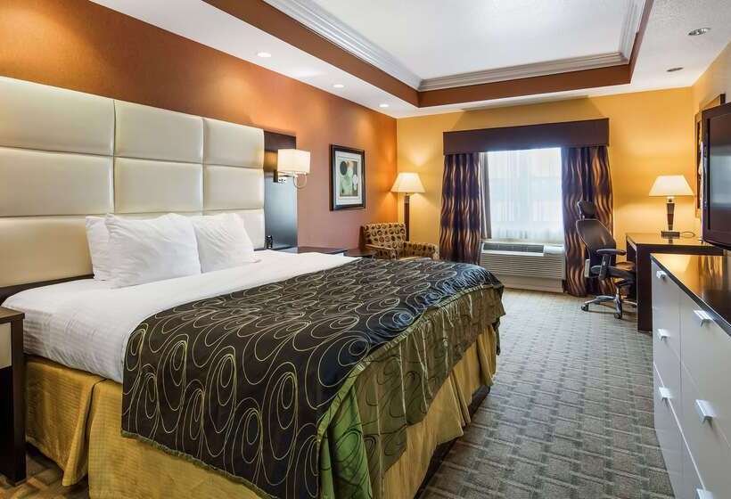 هتل Best Western Plus Jfk Inn & Suites