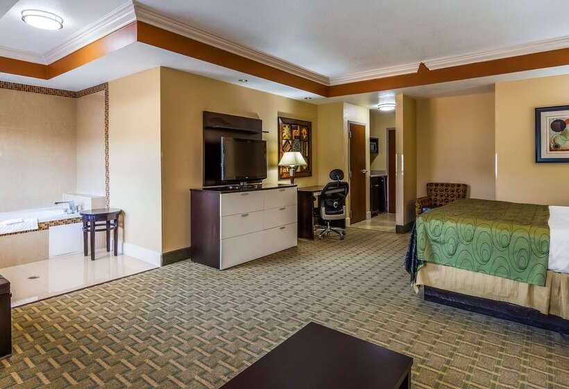 هتل Best Western Plus Jfk Inn & Suites