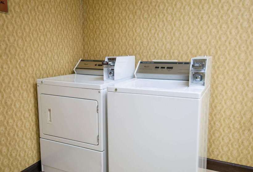 هتل Best Western Plus Jfk Inn & Suites