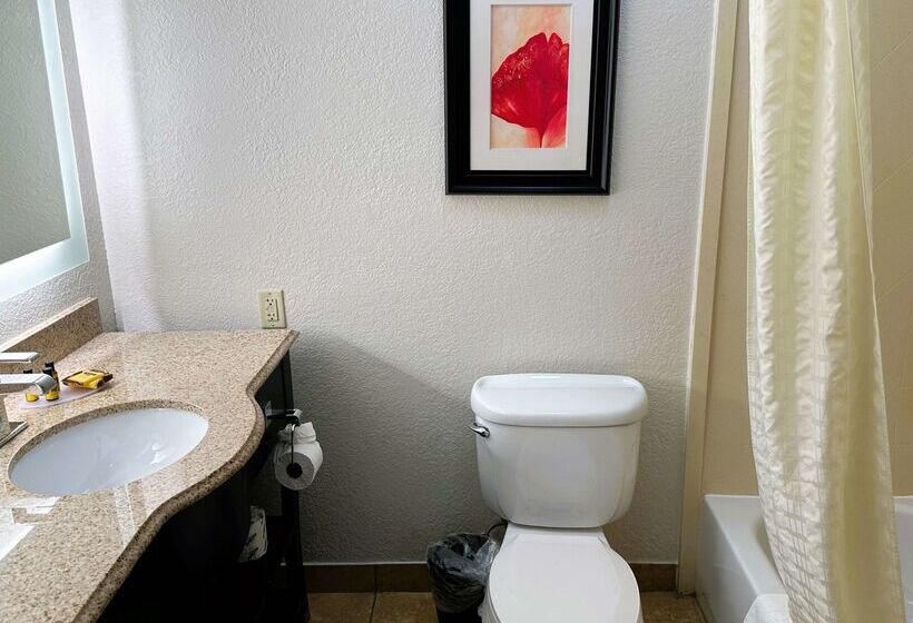 هتل Best Western Plus Jfk Inn & Suites