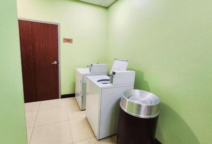 هتل Best Western Plus Jfk Inn & Suites