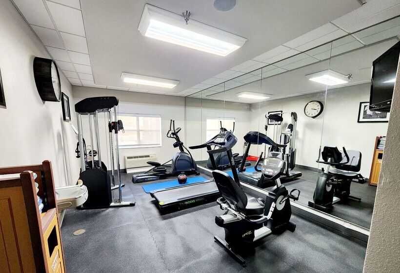 هتل Best Western Plus Jfk Inn & Suites