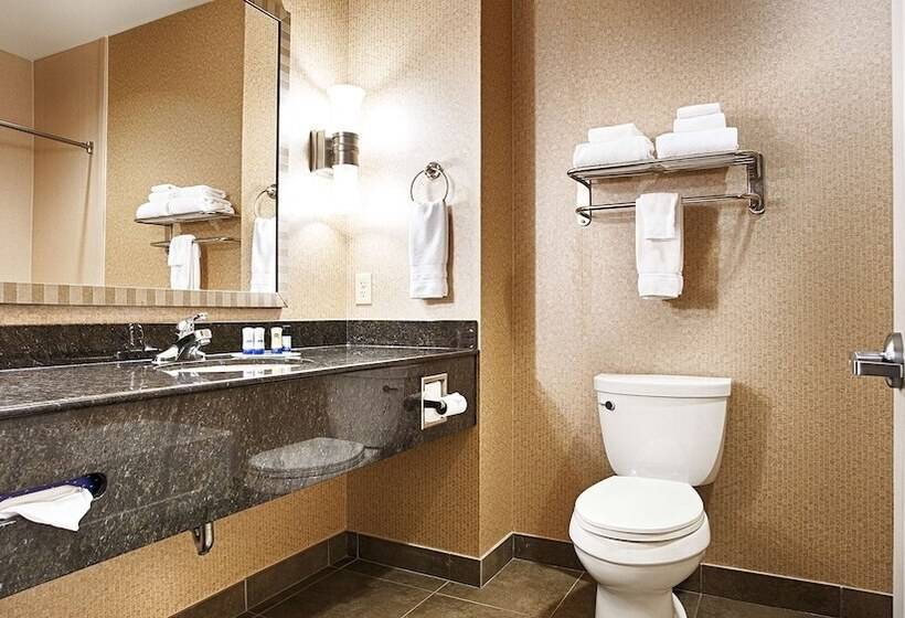 فندق Best Western Plus Texarkana Inn And Suites