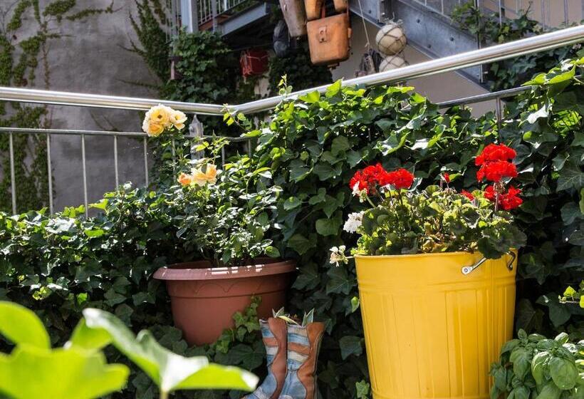 בית מלון כפרי Greifennest