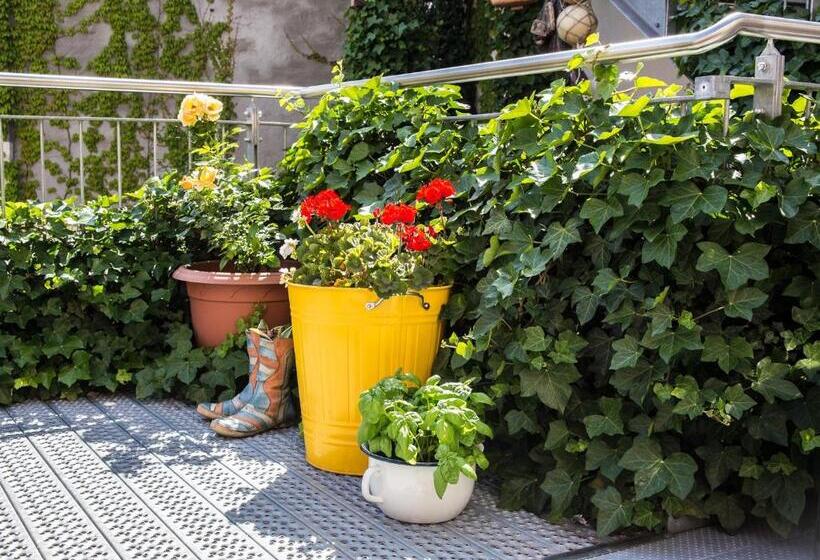 בית מלון כפרי Greifennest