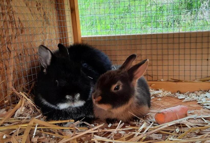 هتل Landgasthof Simon