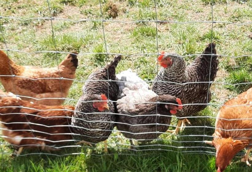 هتل Landgasthof Simon