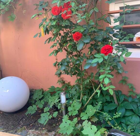 هتل Landgasthof Simon