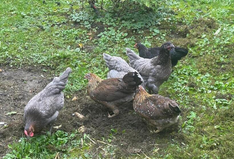 هتل Landgasthof Simon