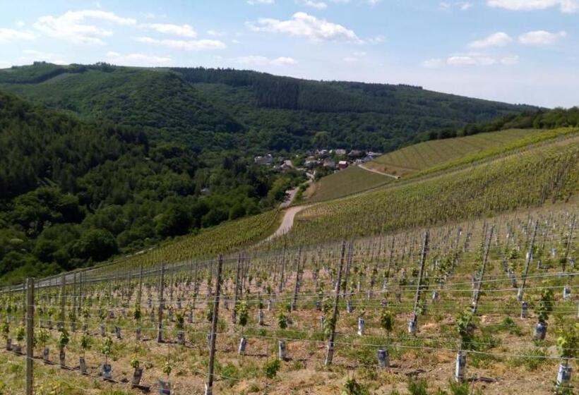 هتل Landgasthof Simon