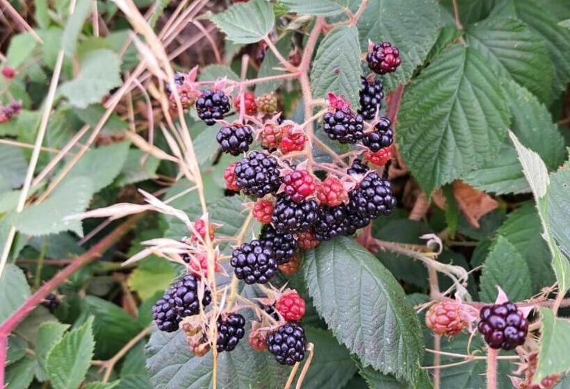 هتل Landgasthof Simon