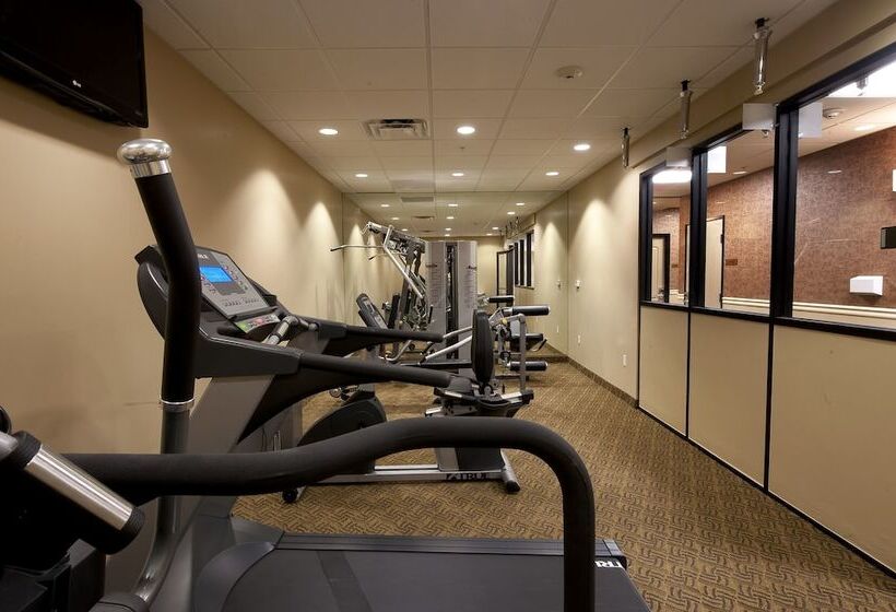 هتل Spark By Hilton Phoenix East Mesa