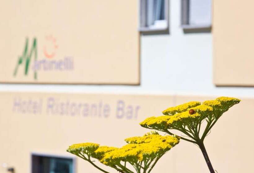 בית מלון כפרי Martinelli