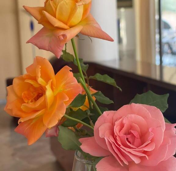 בית מלון כפרי New York