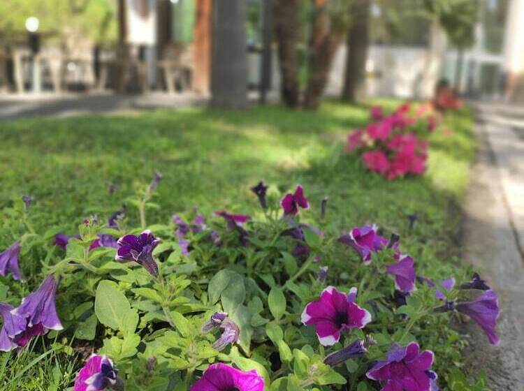 בית מלון כפרי Oasi Park