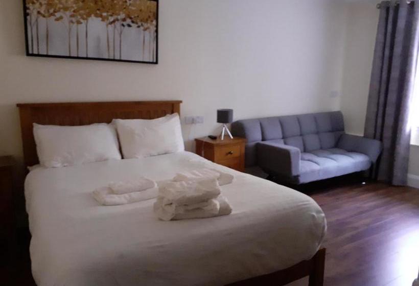 בית מלון כפרי Paddy S Palace Dingle Peninsula