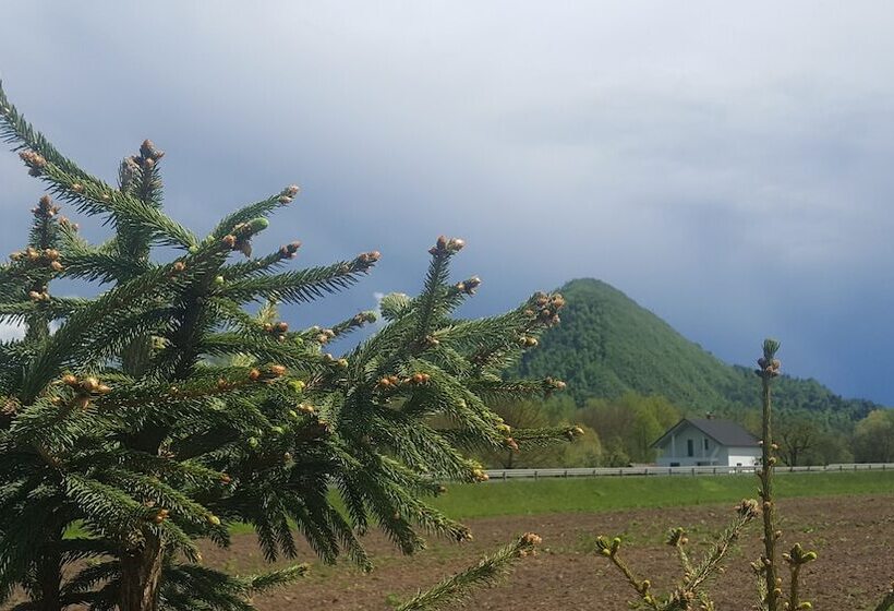 هتل Pri Ancki B&b Ljubljana Suburbs