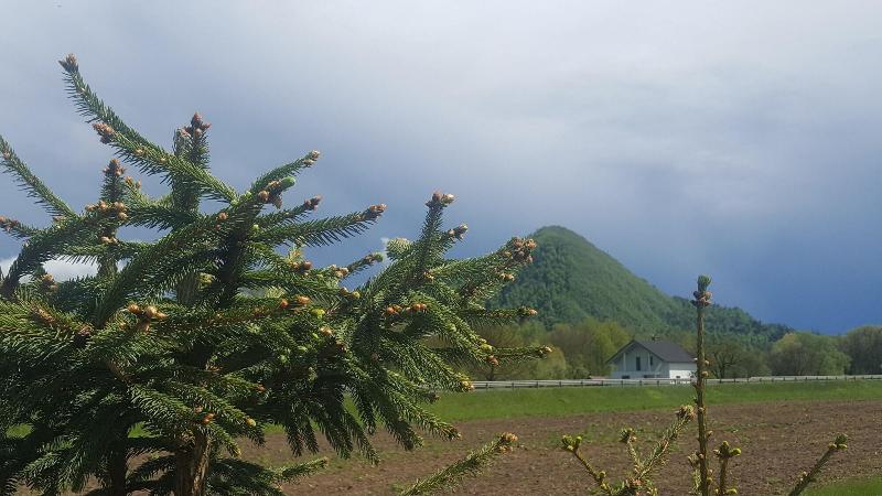 هتل Pri Ancki B&b Ljubljana Suburbs