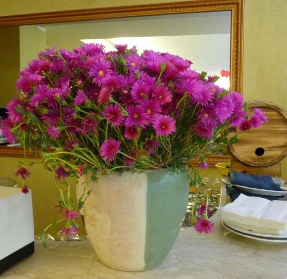 乡村酒店  Agriturismo Biologico Corte Aragonese