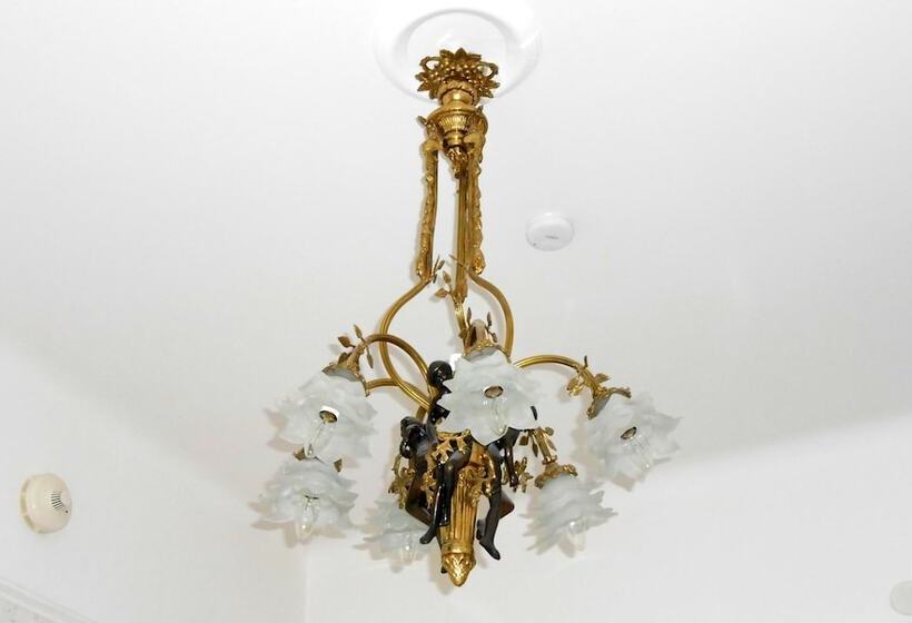 בית מלון כפרי Wasa Park